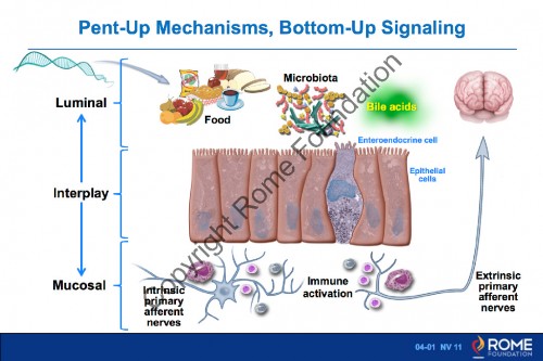 Chapter 04 - Microenvironment